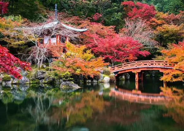 Ravensburger Puzzle Daigo-ji (Kyoto, Japan) – 1000 Teile – 56,4 × 56,4 cm – ab 14 J.