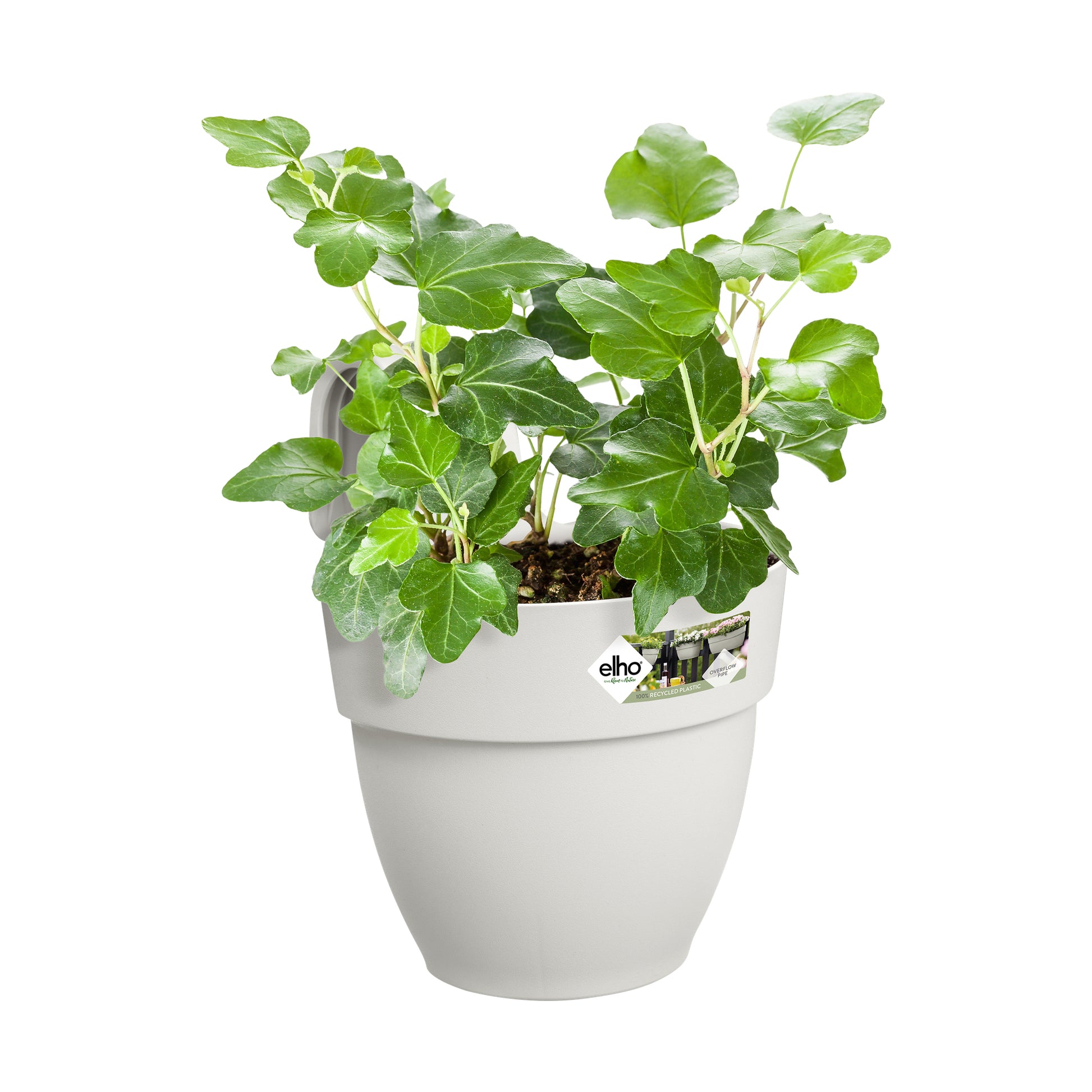 elho Hängeblumentopf – 2800 ml – Kunststoff, Weiss