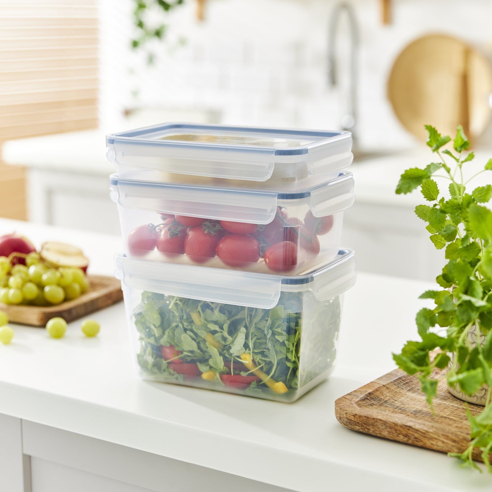 Rotho Kühlschrankdose Clic & Lock – 1,5 l – rechteckig – 23,9 × 7,1 × 16 cm – PP – transparent