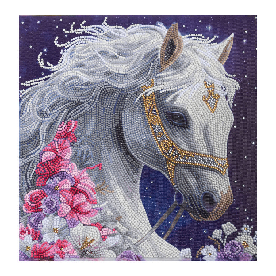 CRAFT Buddy Mystic Beauty – Diamond Painting Set – Pferd – 30 × 30 cm – ab 8 Jahren