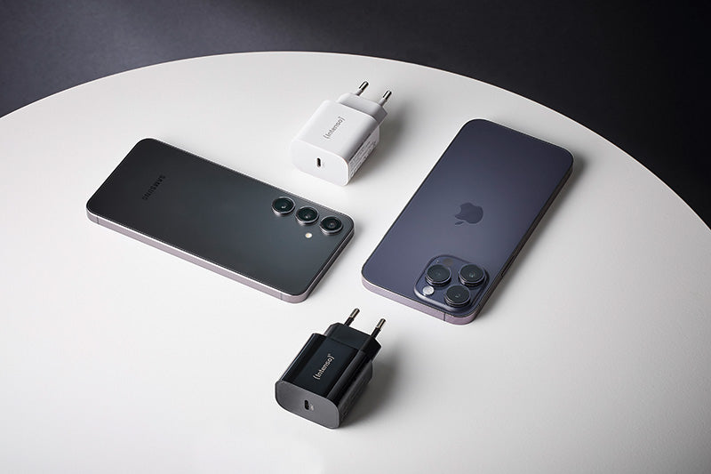 Intenso W20C USB-Ladegerät 20 W – USB-C×1 – PD – EU-Stecker (Typ C) – für Smartphones und Tablets