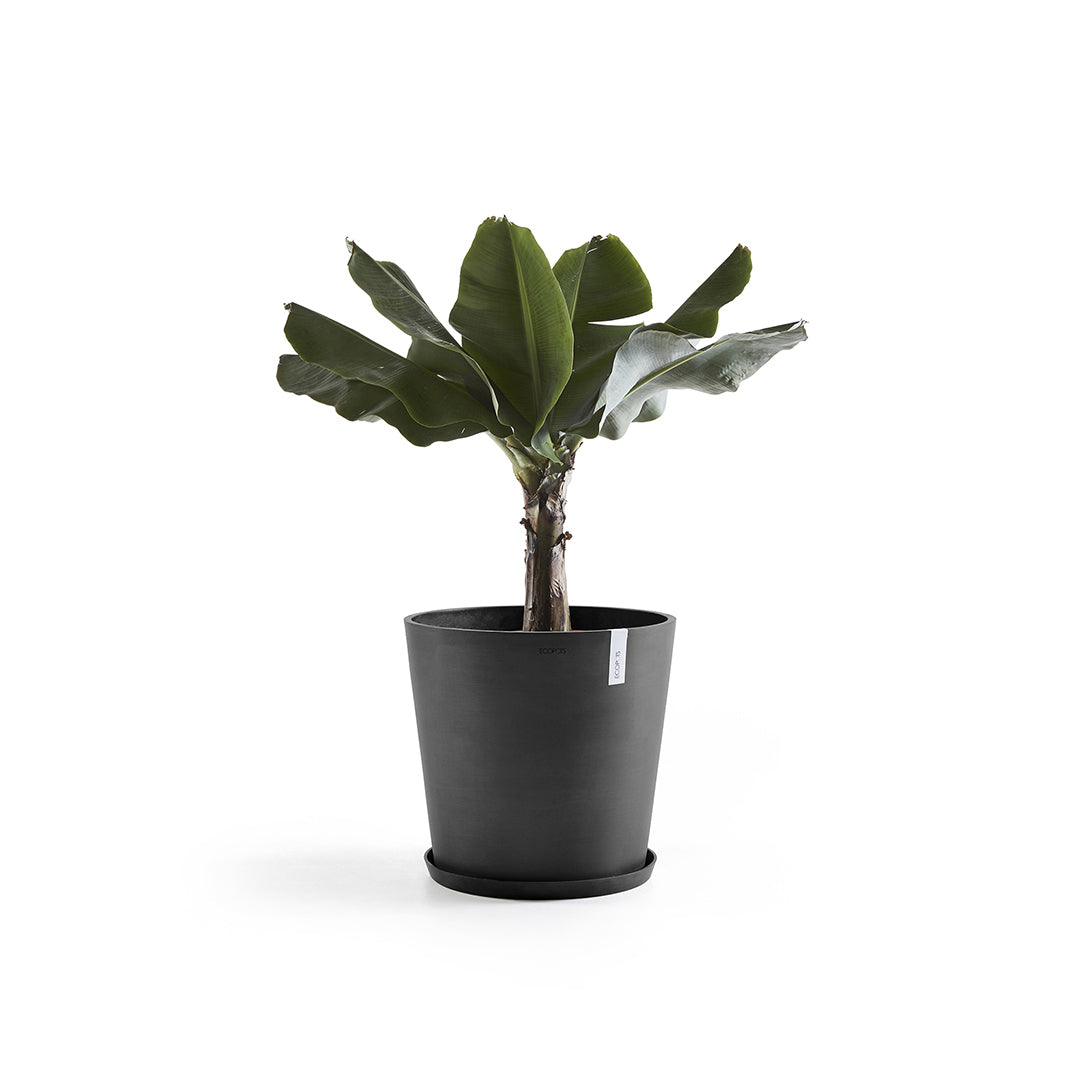Ecopots Schale – Recycling-Kunststoff, Dunkelgrau – Ø 44,5 × 3,5 cm