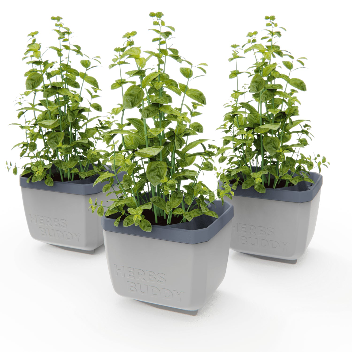 Gusta Garden HERBS BUDDY Kräutertopf – 3-teilig – Polypropylen, grau