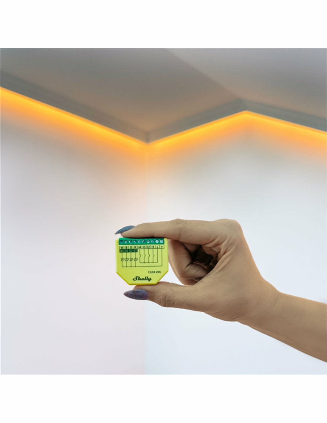 Shelly LED-Strip-Controller – RGBW, WLAN – für Alexa, Google Assistant – 12–24 V – 1 Stk. – Plus RGBW PM