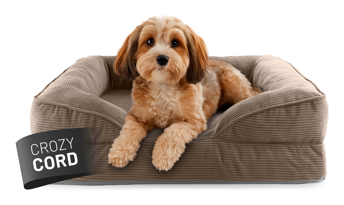 Lumaland Indoor Cord S Hundebett – 60 × 70 × 18 cm, Polyester, hellbraun