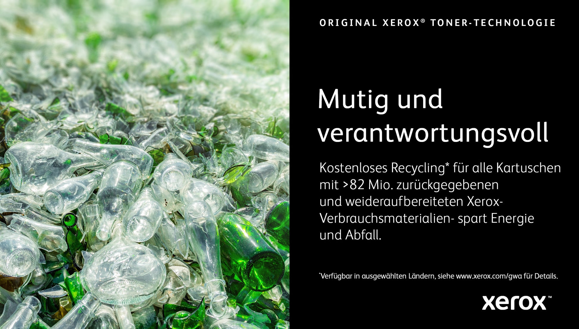 Xerox Toner 006R04619 – Gelb, 6000 Seiten – für VersaLink C625