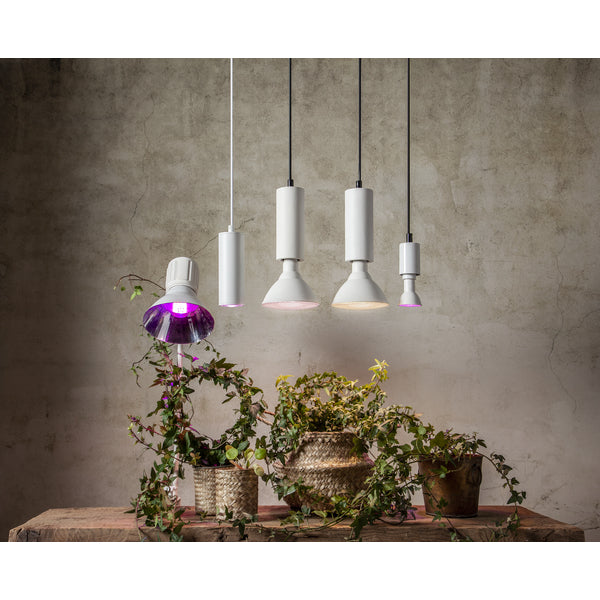Star Trading Leuchtmittel G9 Kapsel – 138 lm, 1,5 W, Warmweiss 2700 K – IP20 – 2 Stk. – 357-38