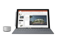 Microsoft Surface Pro 11 – 13", 512 GB, 16 GB RAM, WLAN + 5G, Windows 11 Home, Platin