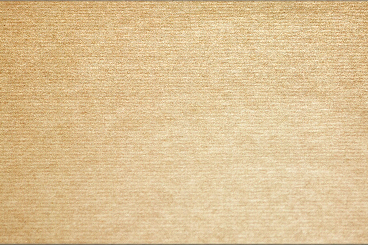 PRONAPPE Tischset – Papier, Hellbraun, 40,5 × 30 cm – 500 Stk.
