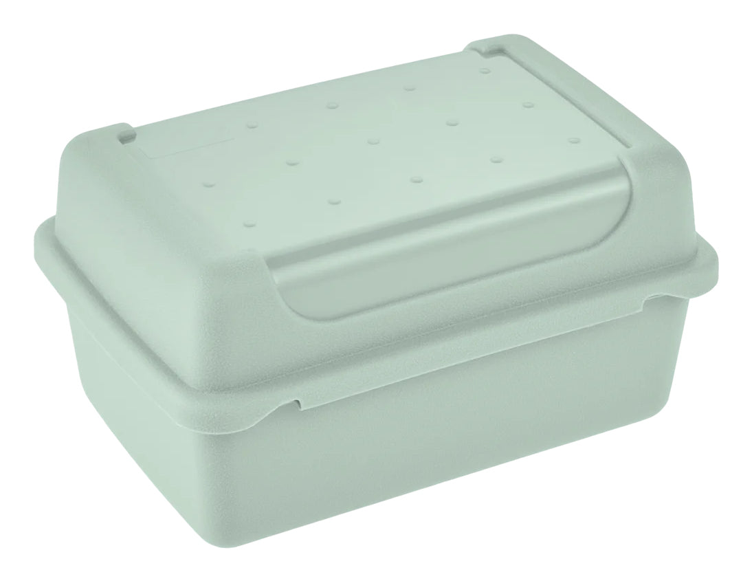 keeeper Luca Aufbewahrungsbox 0,35 l – Polypropylen – Transparent/Grün – 110 × 60 × 75 mm