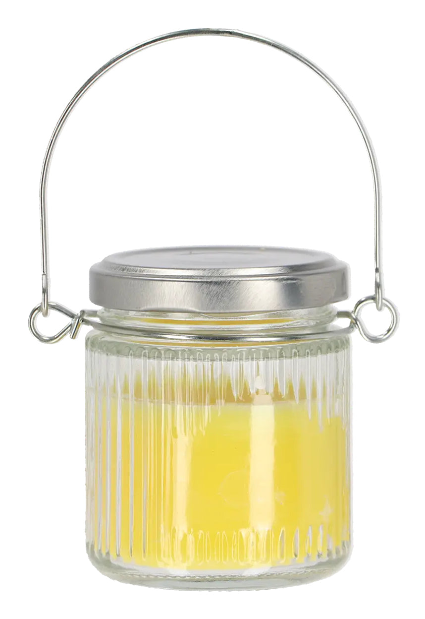 Esschert Design Insektenfalle FF663 – 8,4 × 7,3 cm – transparent – Glas – für Mücken