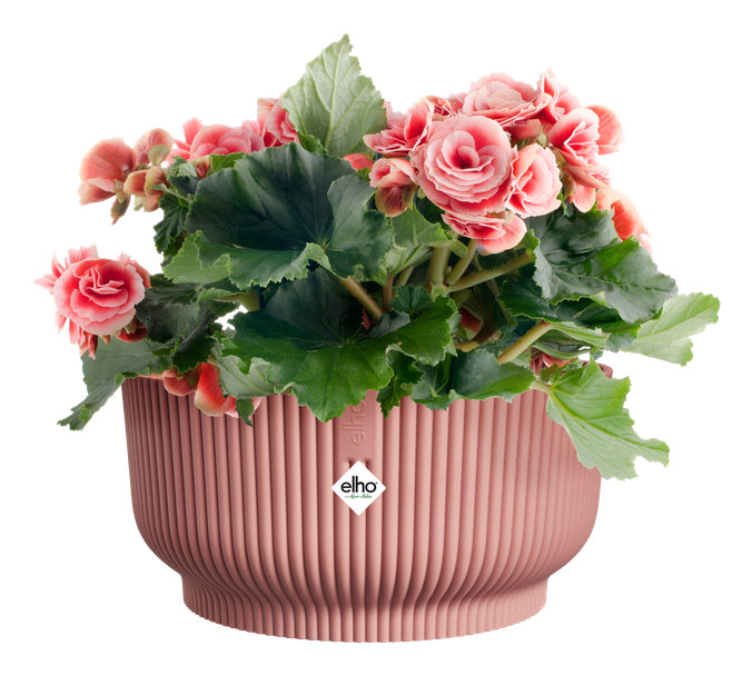 elho Schale – Kunststoff, rosa – Ø 25 × 12 cm