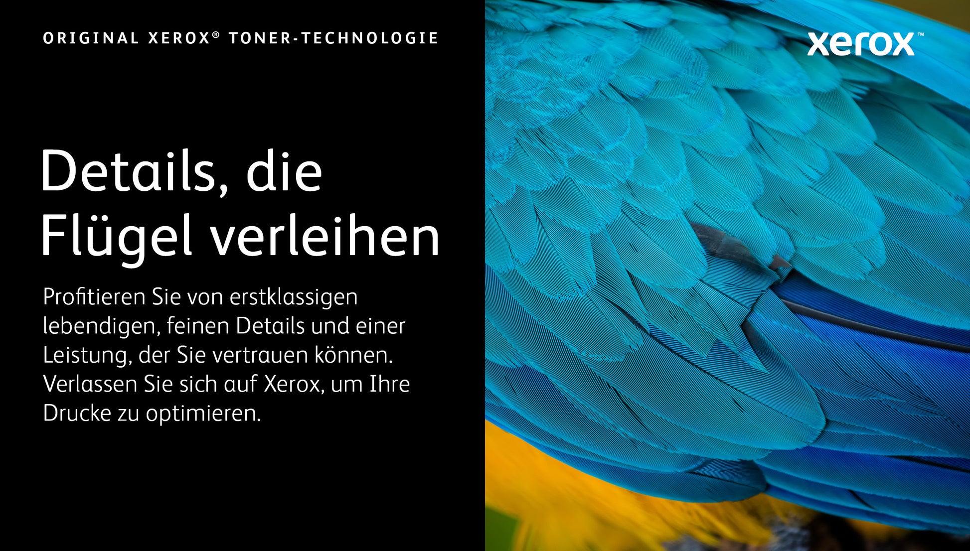 Xerox Toner C410 – für VersaLink C415