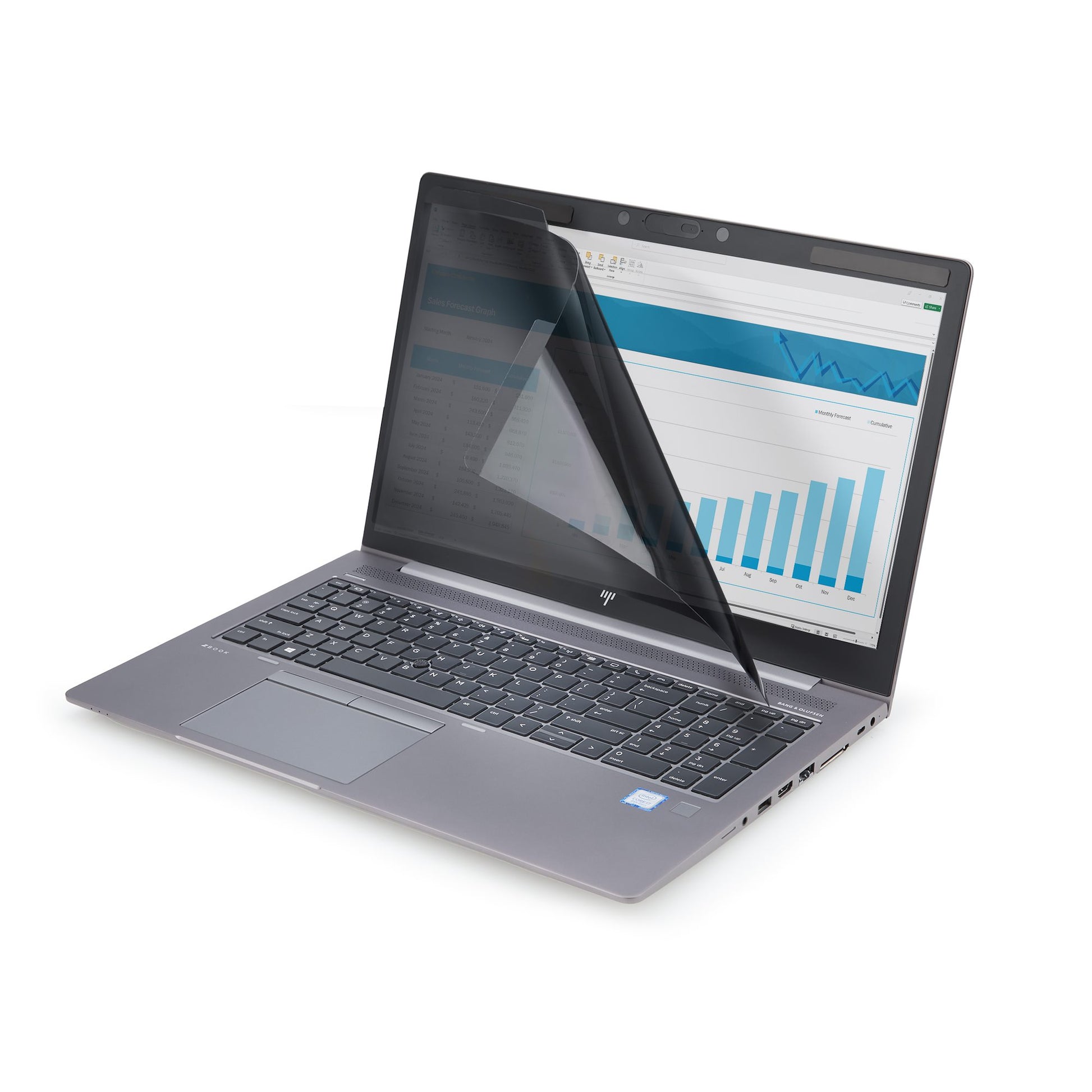 StarTech.com Displayschutz für 16" Laptop