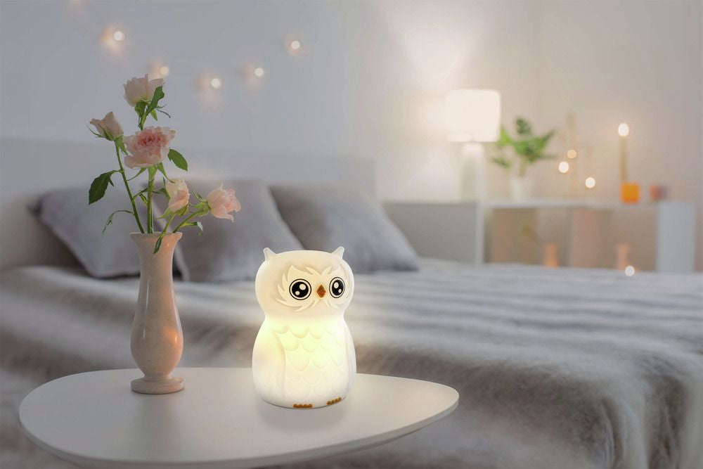 Ansmann Nachtlicht Eule – 10 lm, mehrfarbig, 4 h Akku, USB – Weiss