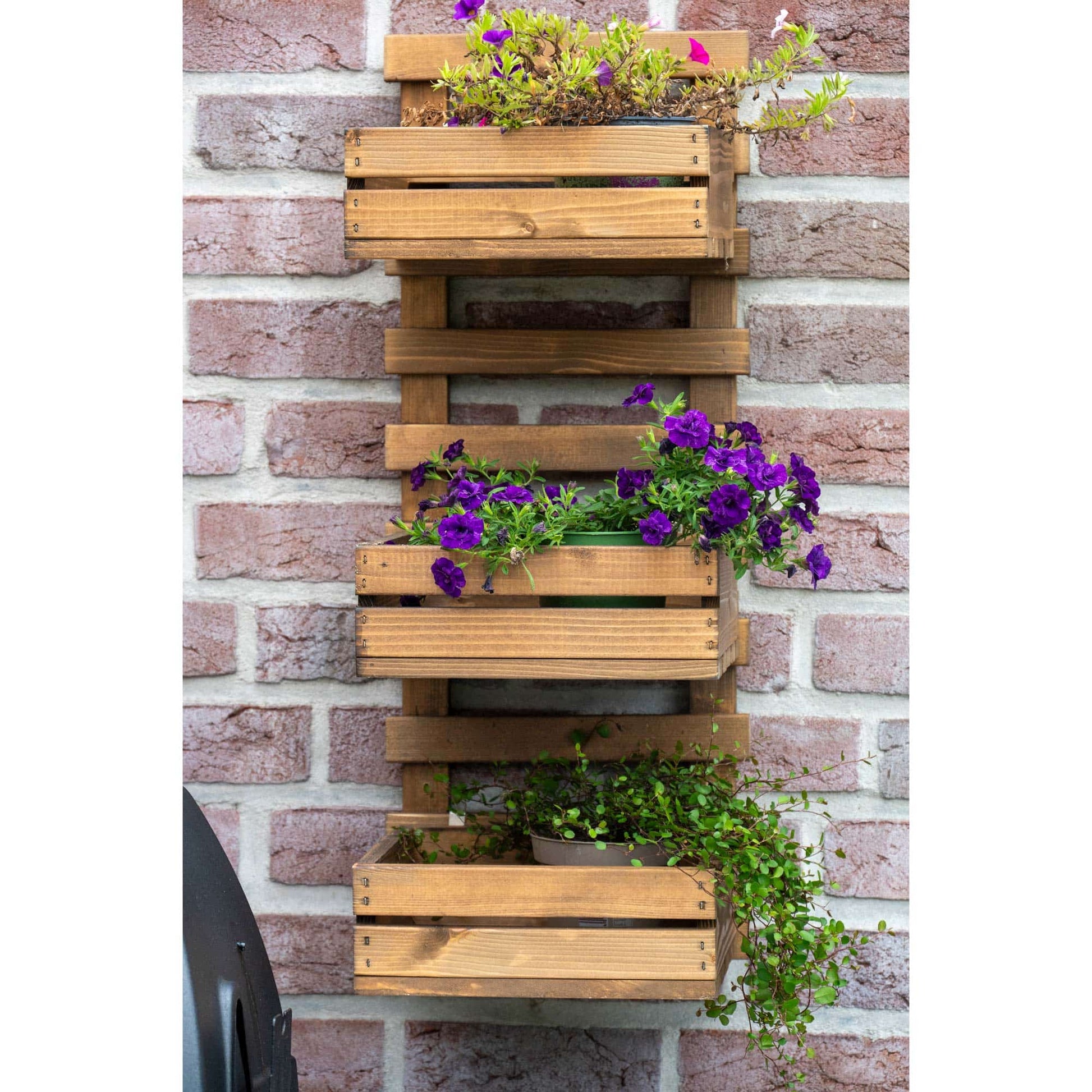 Dobar Wandregal, 58388FSCE – Wandmontage – 3 Böden – 29,5 × 26,5 × 74,5 cm – Braun – Kiefernholz – 1 Stk.