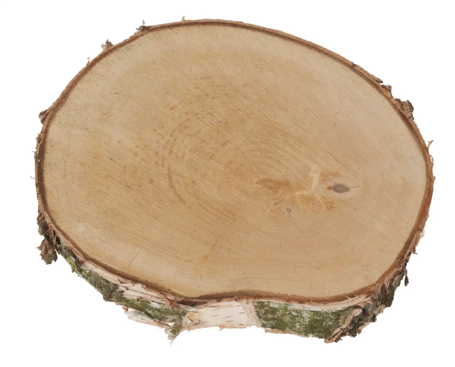 Opiflor Holzrohling, Birke, Natur, Ø 30 cm × 3,5 cm, 1 Stk., rund