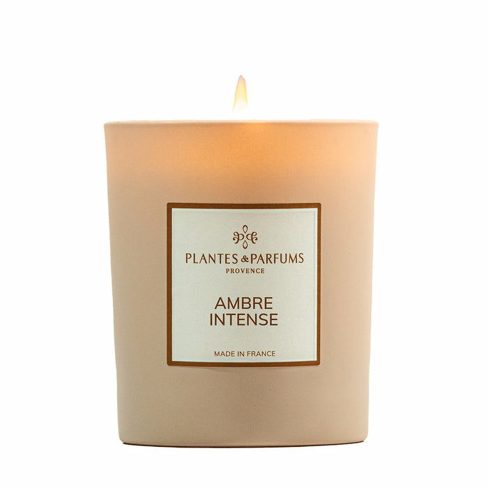 Plantes & Parfums De Provence Plantes & Parfums Duftkerze – Amber Intense – Ø 7,8 × 9 cm – ca. 40 h