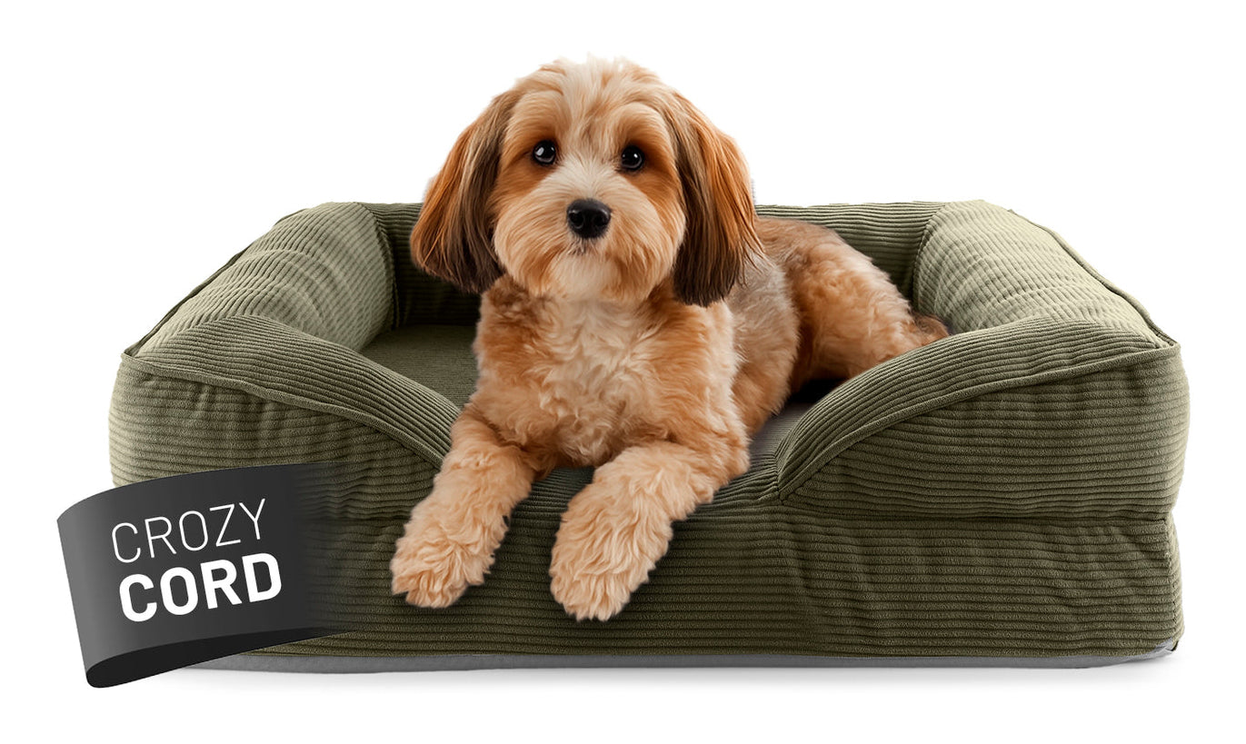 Lumaland Indoor Cord S Hundebett – 60 × 70 × 18 cm, Polyester, abwaschbarer Bezug, Anti-Rutsch-Basis