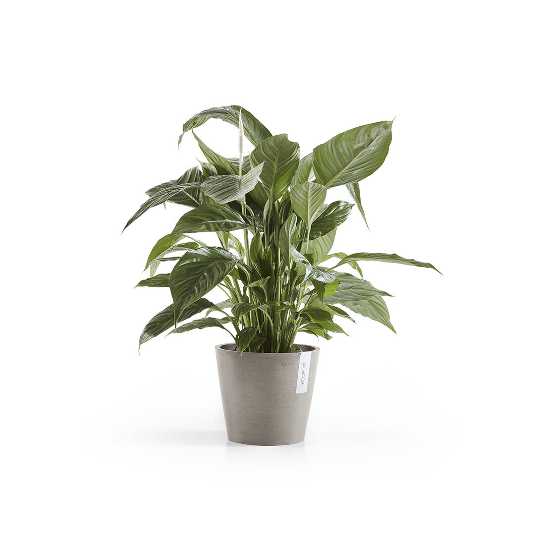 Ecopots Amsterdam Pflanzentopf – Ø 20 × 17,5 cm – Kunststoff, Taupe