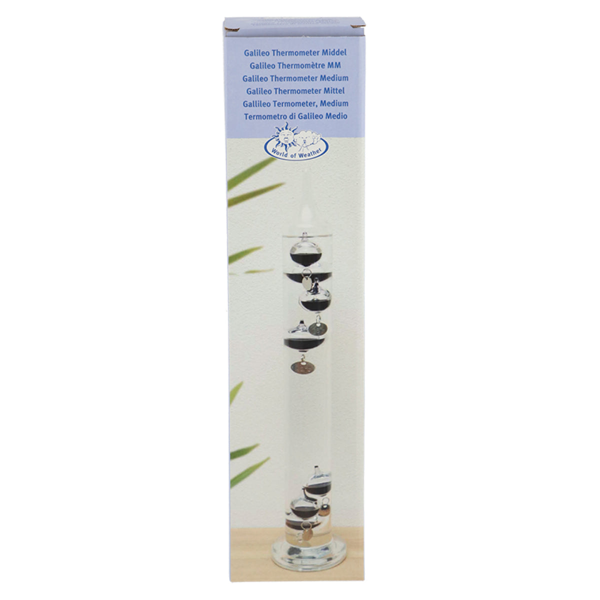 Esschert Design Thermo-/Hygrometer TH43 – Innenraum