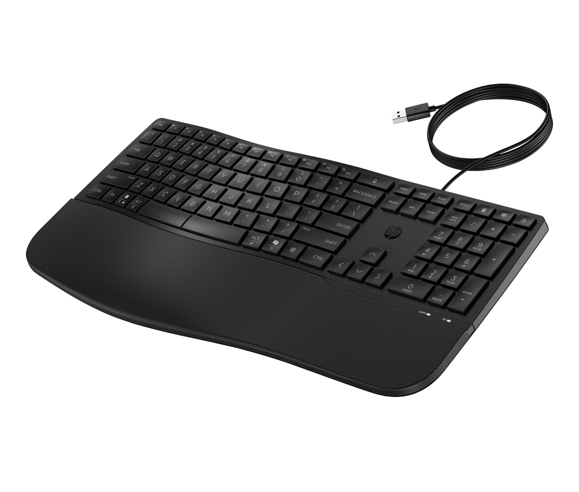 HP 485 CFT WD – Tastatur – USB (kabelgebunden), Vollformat, Membran, Schwarz