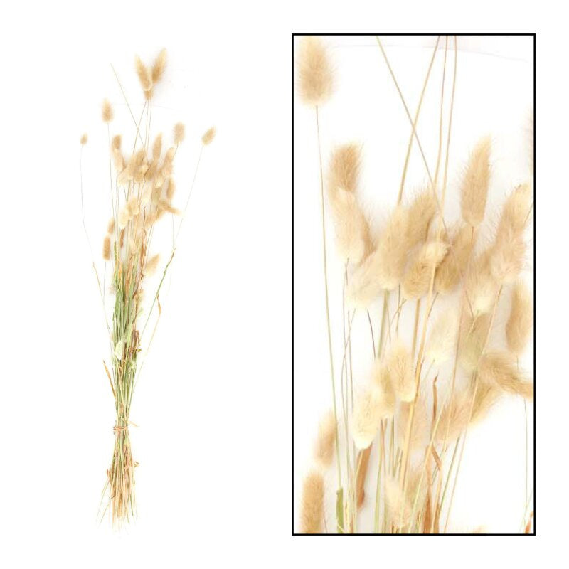CHALET Trockenblumen – Natur – 75 cm