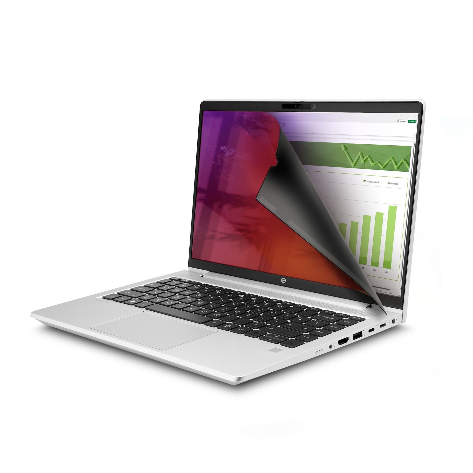 StarTech.com Displayschutz für 14" Laptop – Gold