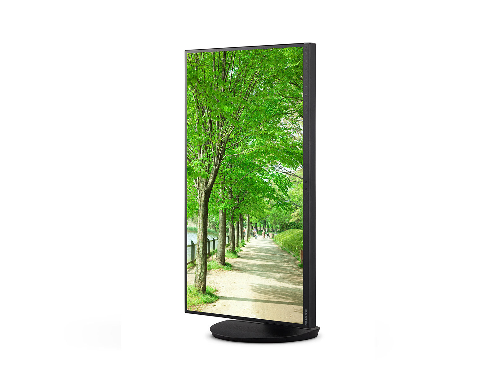 NEC EA272UB – 27", 3840 × 2160 (4K), IPS, USB-C 90 W, LAN