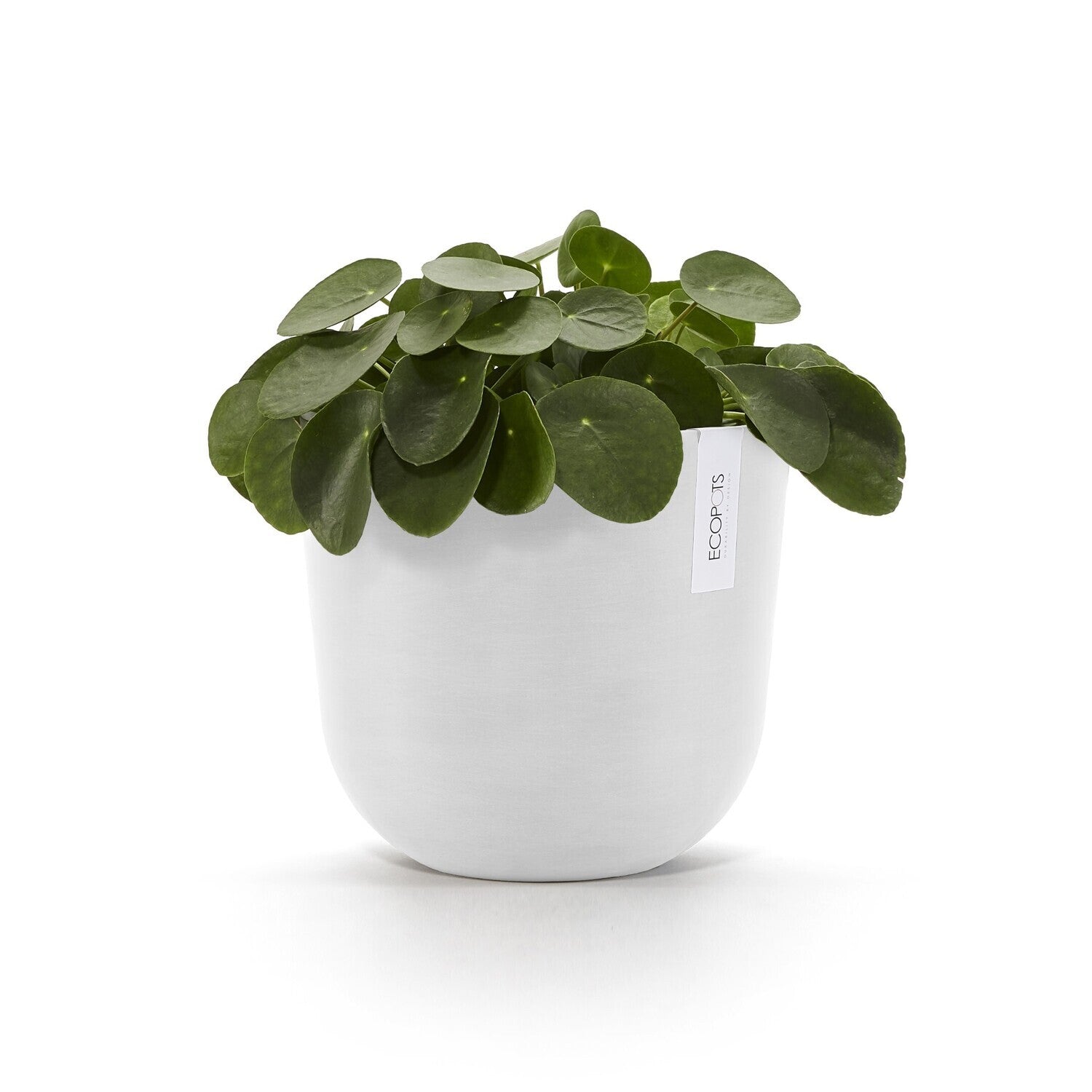 Ecopots Schale – Recycling-Kunststoff, Weiss – Ø 25 × 21,8 cm