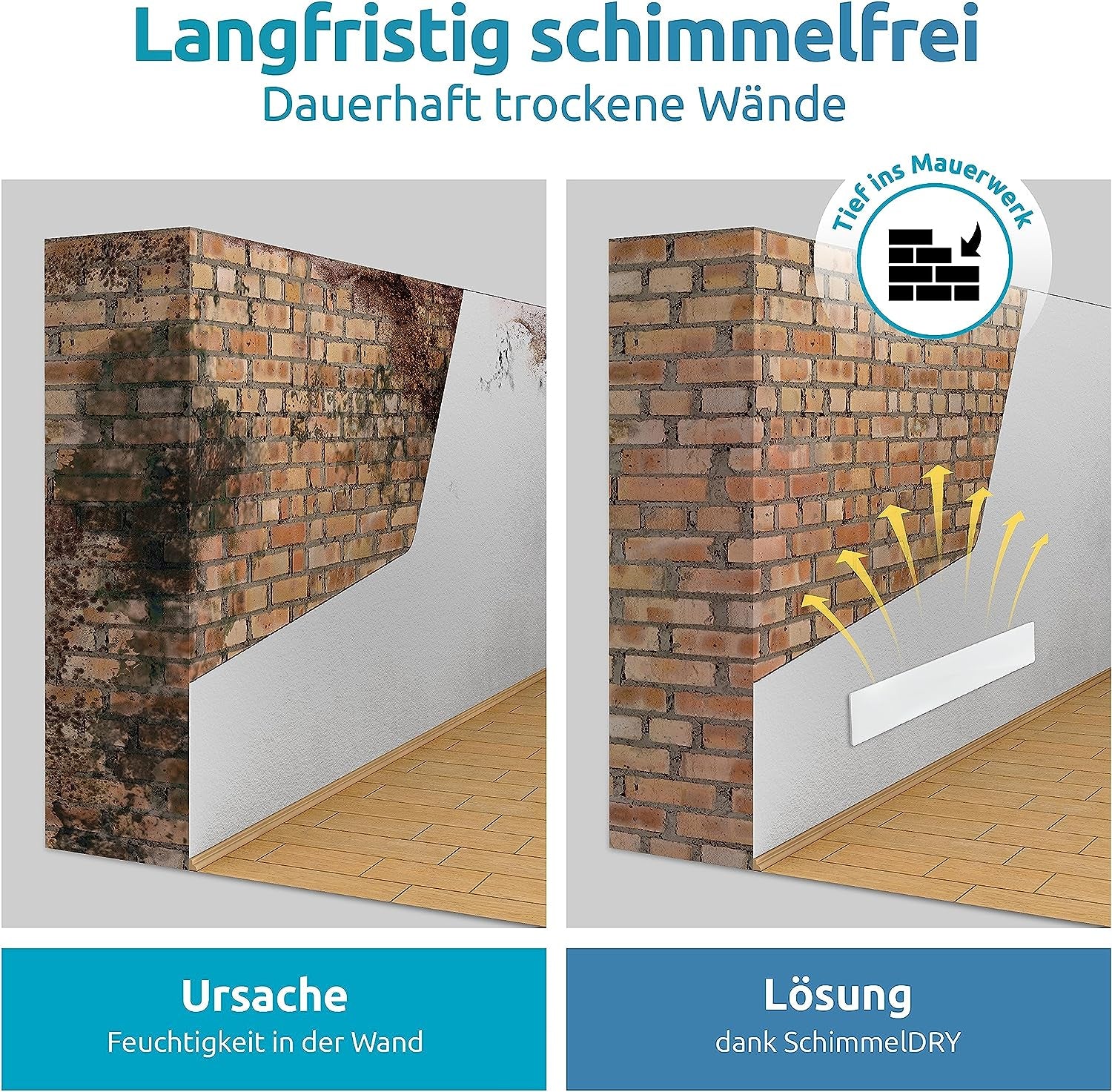 Technaxx Luftreiniger-Zubehör – EDH-WHI-SDRY-M1