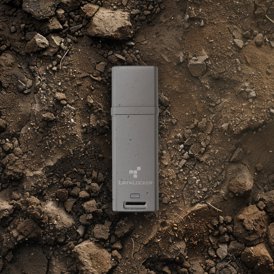 DataLocker DL GO – 64 GB USB-Stick USB 3.2 Gen 2, FIPS 197, für Windows, Mac OS, eingeschränkt Linux
