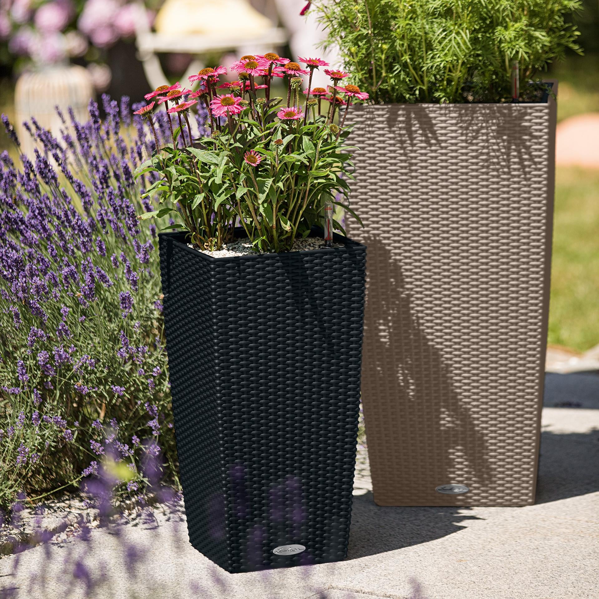 LECHUZA Pflanzgefäss – 31 l, 39,5 × 75,5 × 39,5 cm – Kunststoff, Graphit