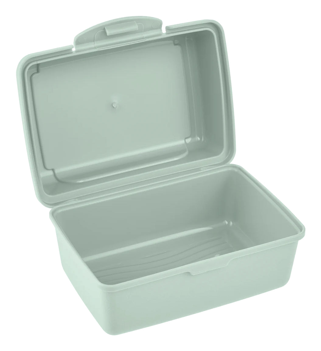 keeeper Luca Aufbewahrungsbox 0,35 l – Polypropylen – Transparent/Grün – 110 × 60 × 75 mm
