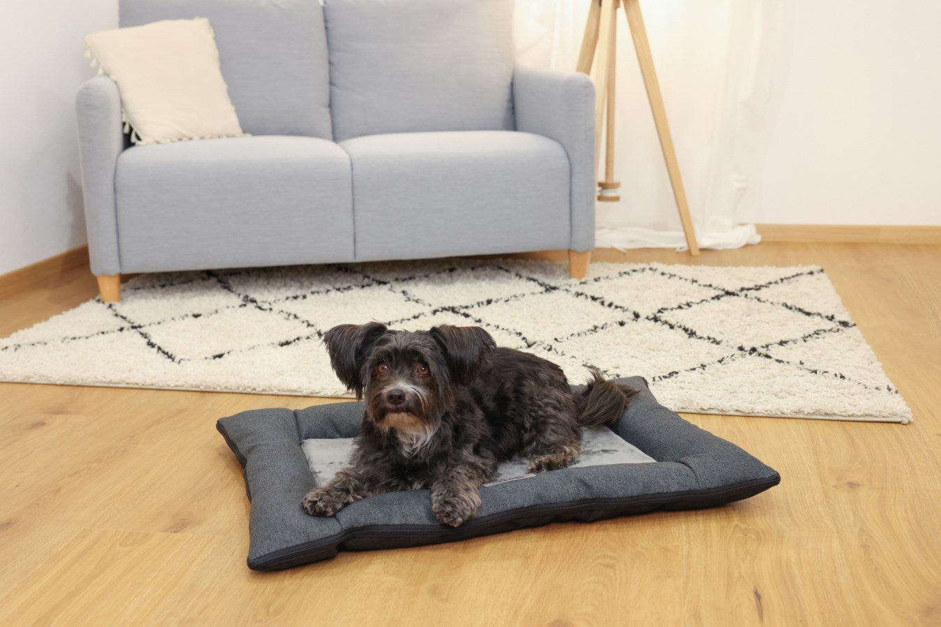 Kerbl Platin Ortho Hundekissen – 80 × 115 × 9 cm, Schaum, abnehmbarer Polyesterbezug, Grau