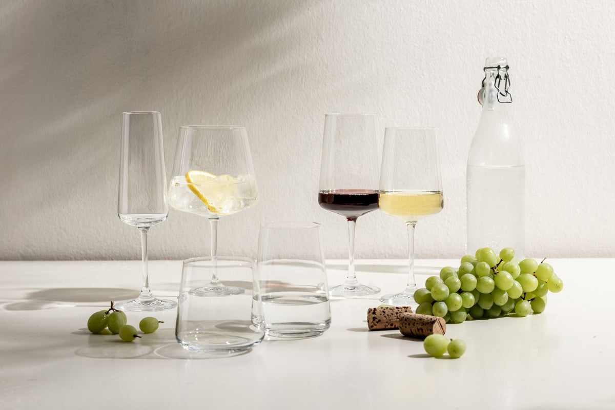 SCHOTT ZWIESEL MioVino Wasserglas – 4er Set, 410 ml, Ø 9,4 cm, Kristallglas, Transparent, spülmaschinenfest