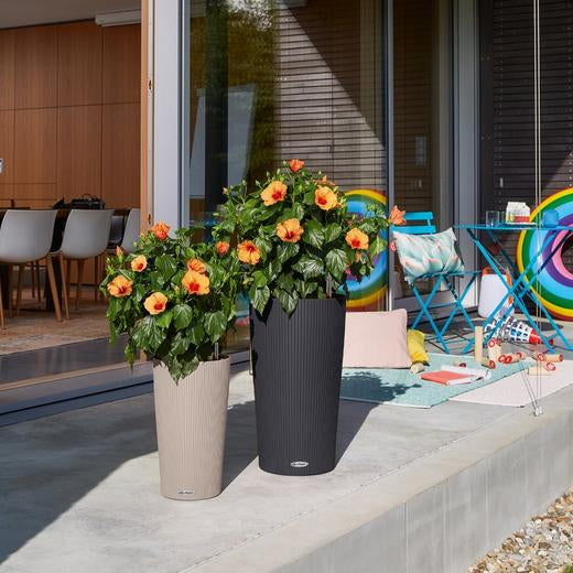LECHUZA CILINDRO Pflanzgefäss – Ø 23 × 41 cm, 5,5 l – Kunststoff, sandbraun – automatische Bewässerung
