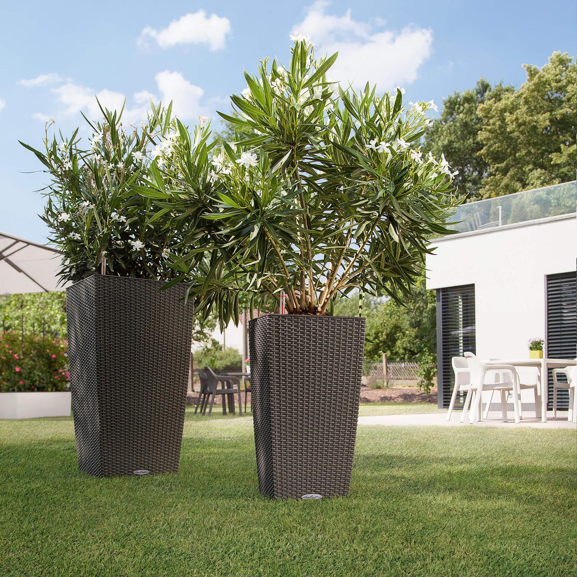 LECHUZA Pflanzgefäss – 31 l, 39,5 × 75,5 × 39,5 cm – Kunststoff, Graphit