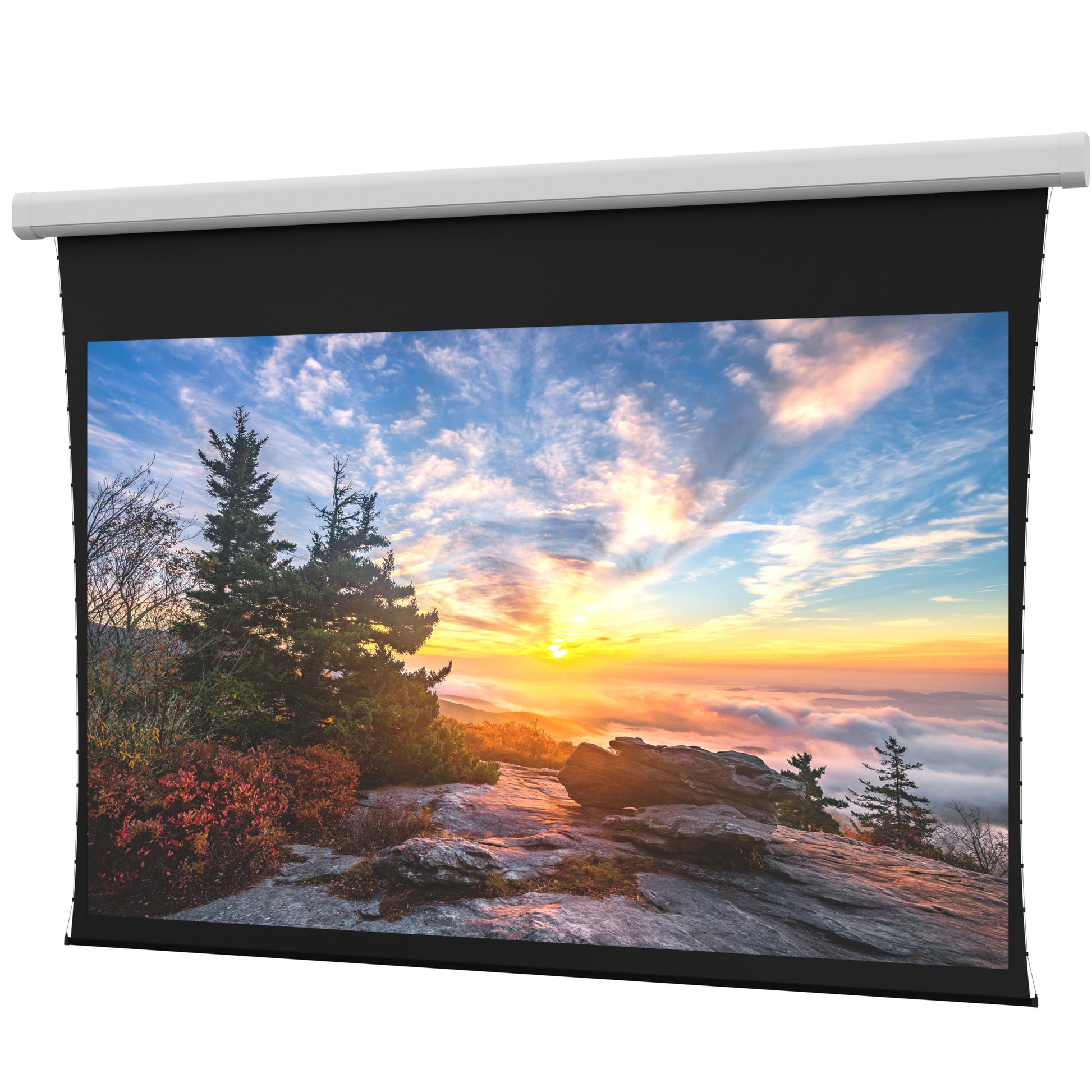 Da-Lite Tensioned Myriad Reveal BlackDrop 304.9x – Elektrische Leinwand, 16:10, 488 × 305 cm (226″)