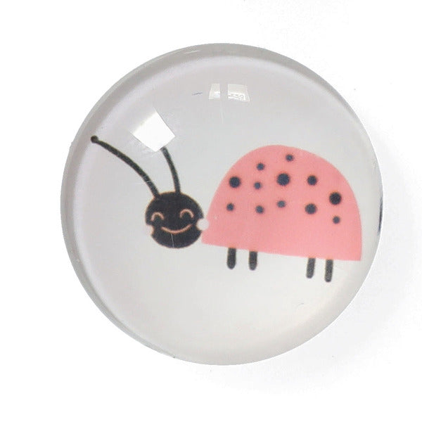 Zeller Present Magnet-Set Insekten – 4-teilig – Ø 2,5 × 0,8 cm – Magnet & Kunststoff, mehrfarbig