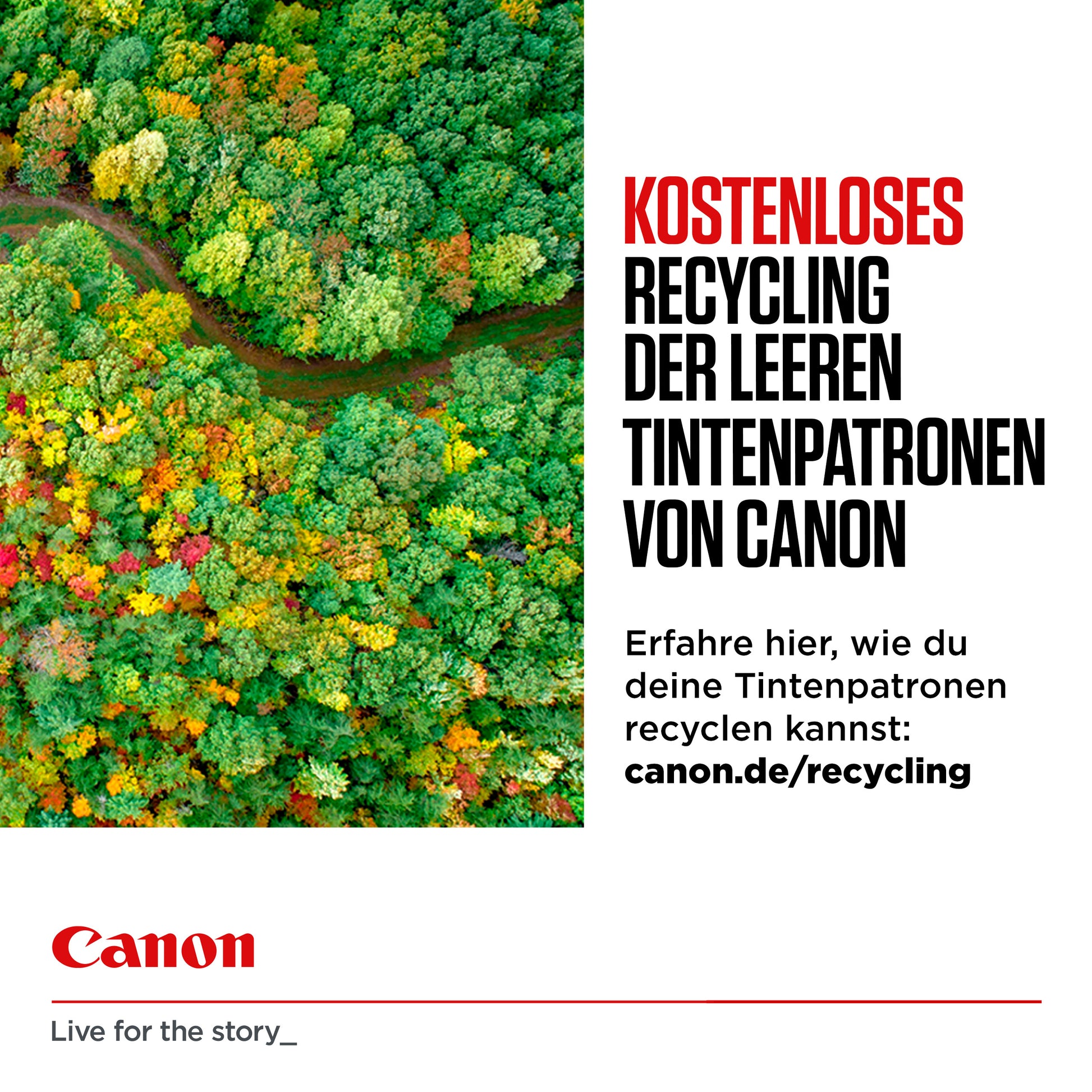 Canon PG-560XL/CL-561XL Tintenpatronen-Multipack, Schwarz/Dreifarbig (Original) – für PIXMA TS5350/TS5351