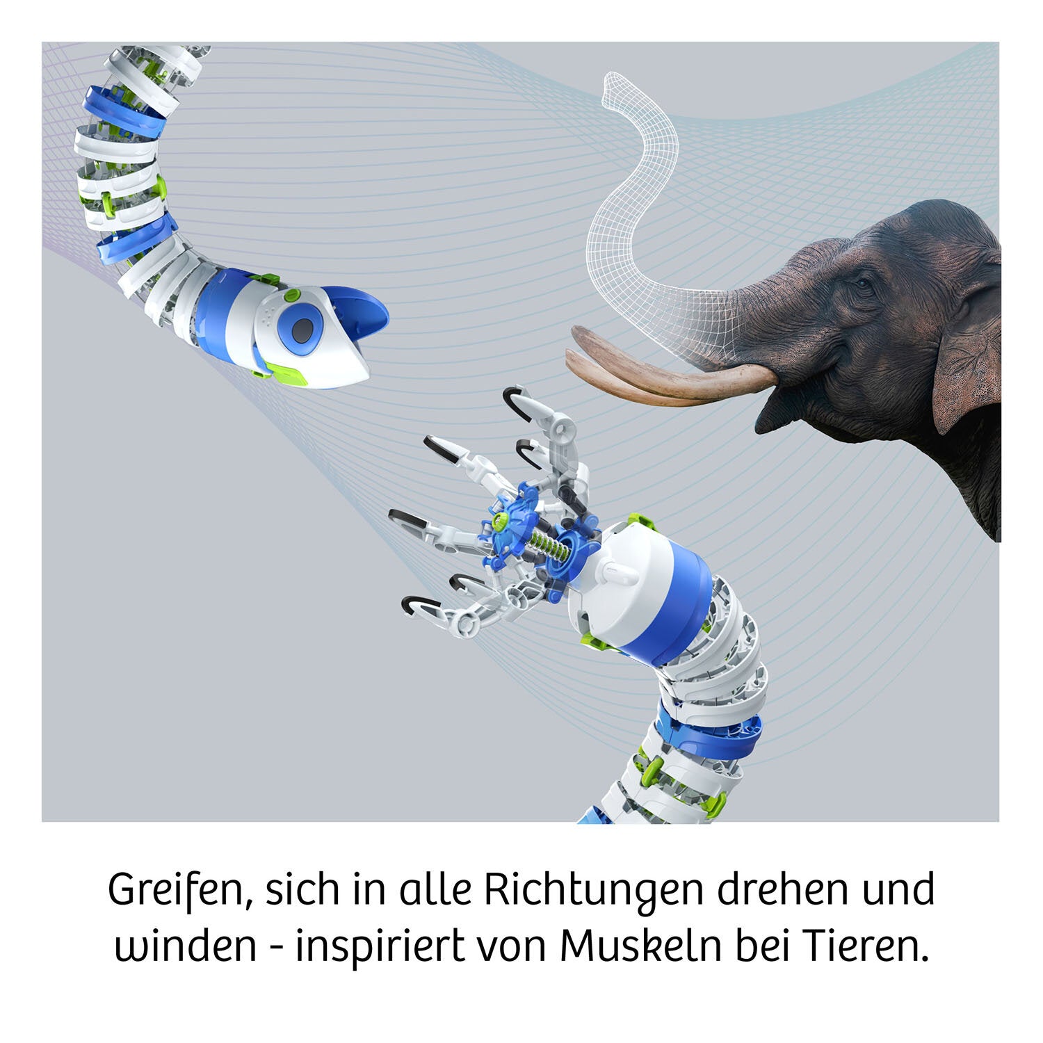Kosmos Experimentier-Set – Bionischer Roboterarm, farbig illustrierte Anleitung, ab 10 Jahren