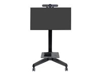 Ergotron Prospektständer Neoflex Mobile MediaCenter VHD – mit Rollen, schwarz