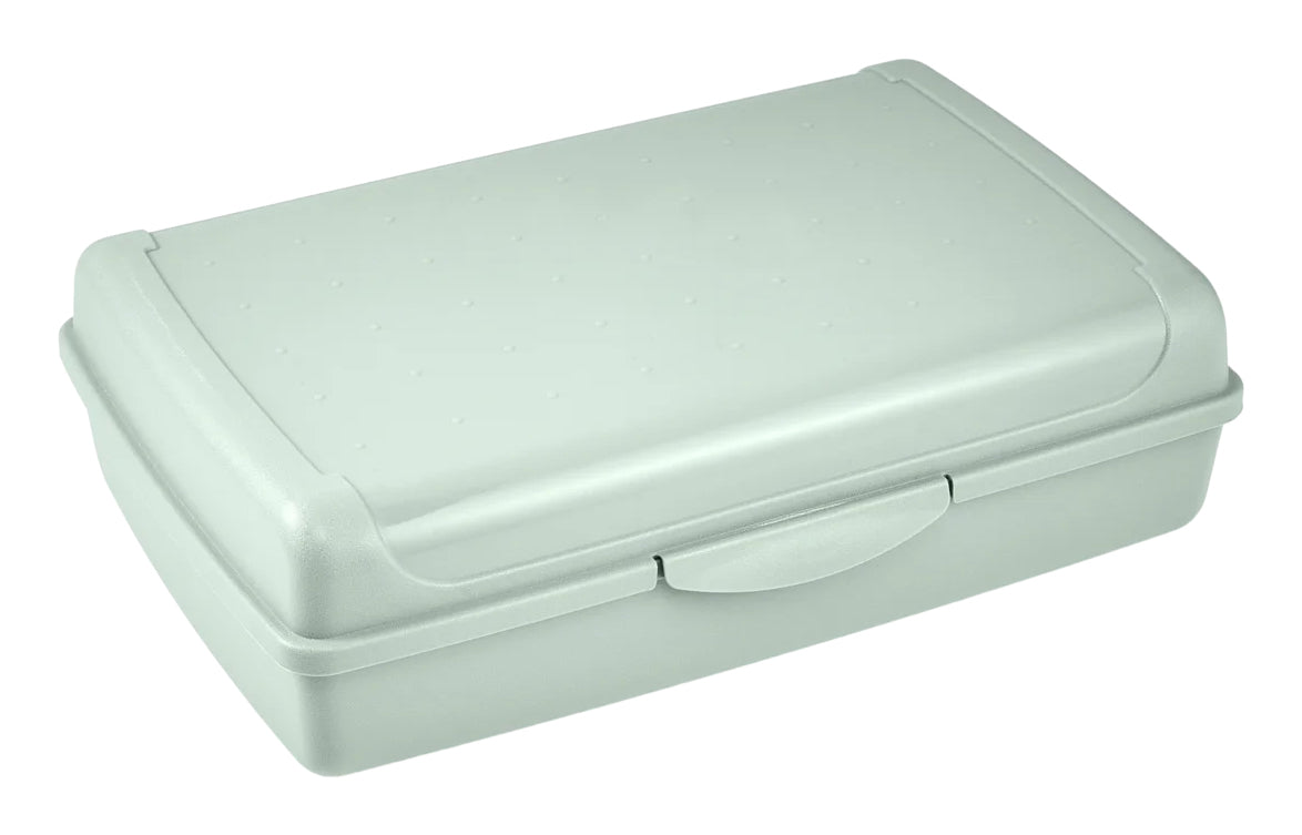 keeeper Luca Aufbewahrungsbox 3,7 l – Polypropylen – Grün – 300 × 85 × 200 mm