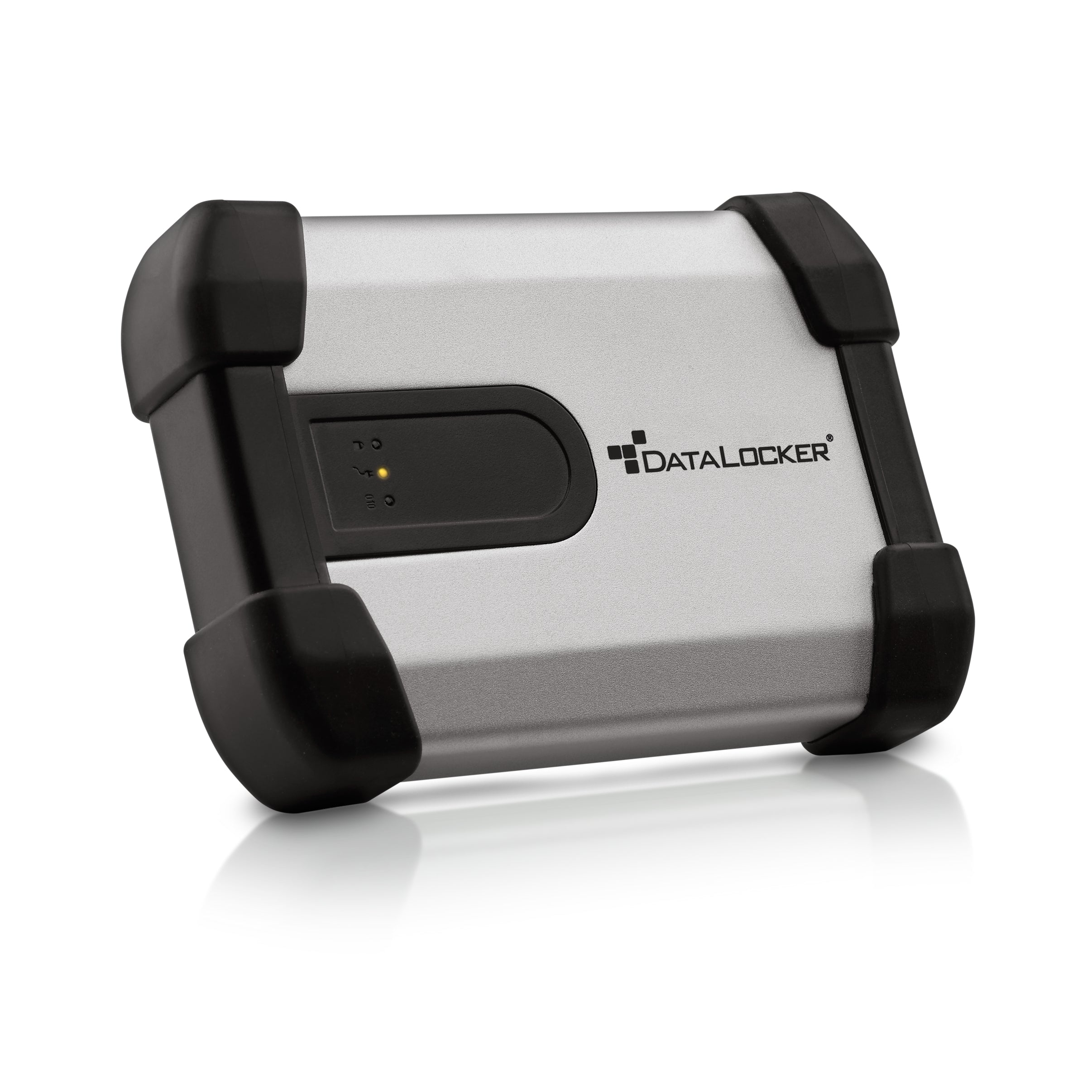 DataLocker IRONKEY H350 Enterprise – 1 TB (vorinstalliert), 2,5" HDD, SATA