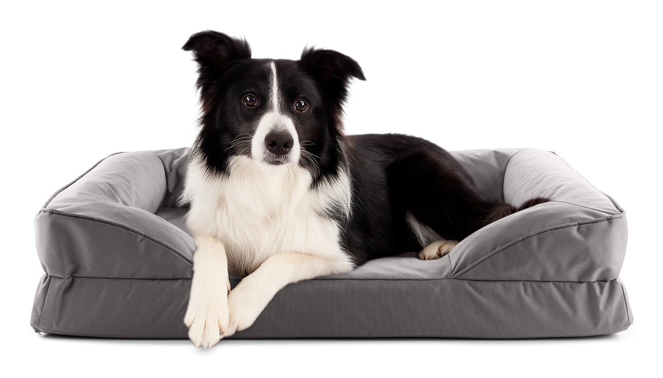 Lumaland Hundebett (Nest) – 65 × 90 × 18 cm, Polyester/PVC, rutschfest, abwaschbarer Bezug, grau