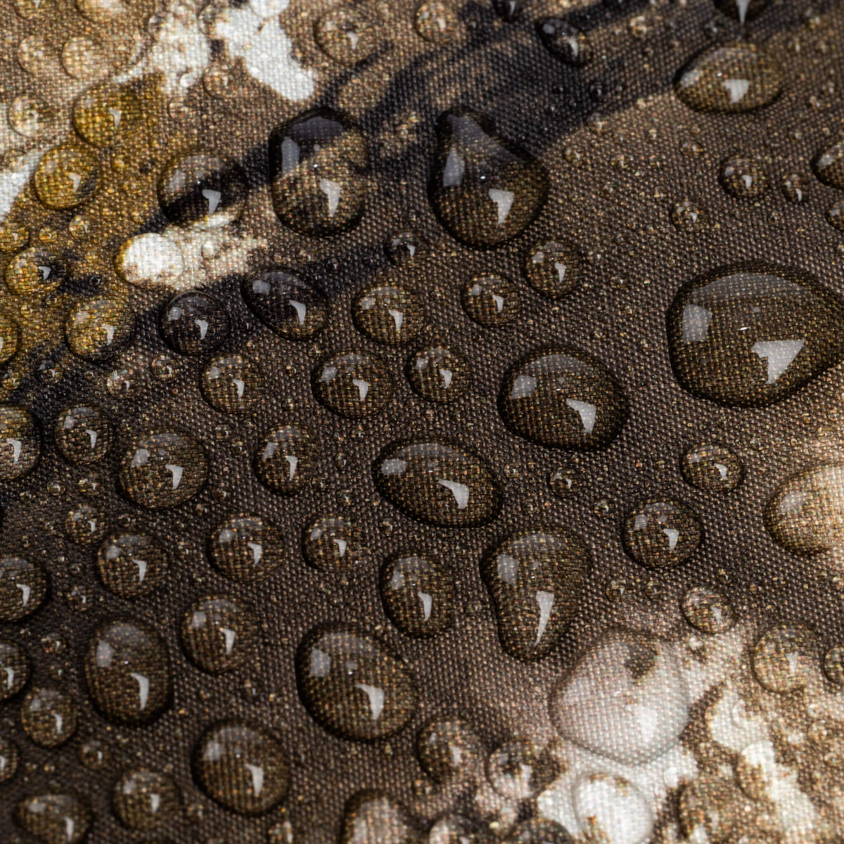 Think Tank Hydrophobia D 70-200 V3 Wetterschutz – für DSLR- und spiegellose Kameras mit 70-200 mm f/2.8 Objektiv