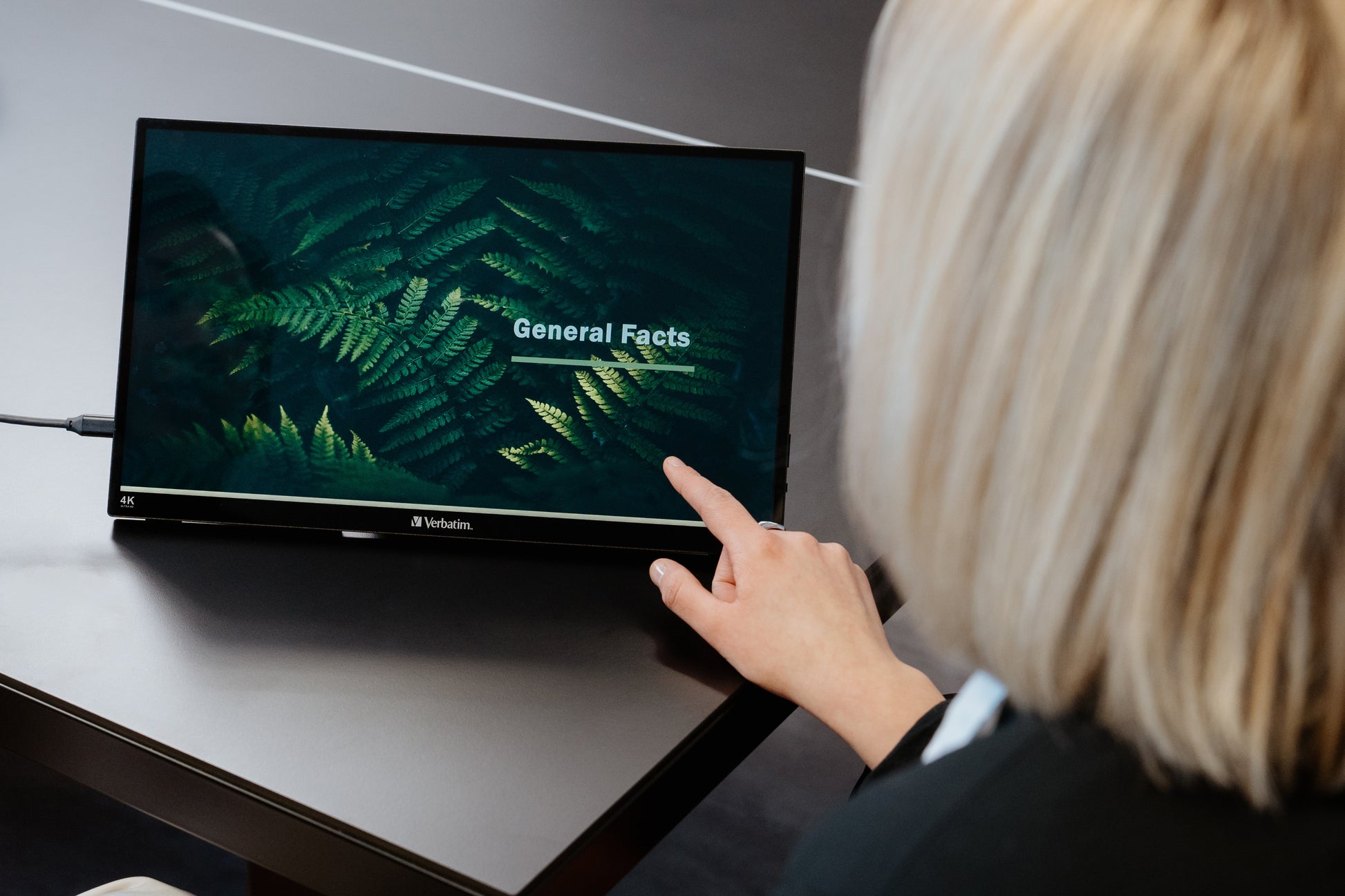 Verbatim Portabler Monitor, 15,6", IPS, Touch, 60 Hz, 350 cd/m², USB-Hub, FreeSync, Schwarz