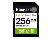 Kingston Technology Kingston Canvas Select Plus Gen 3 Speichergerät – 256 GB, UHS-I, 150 MB/s