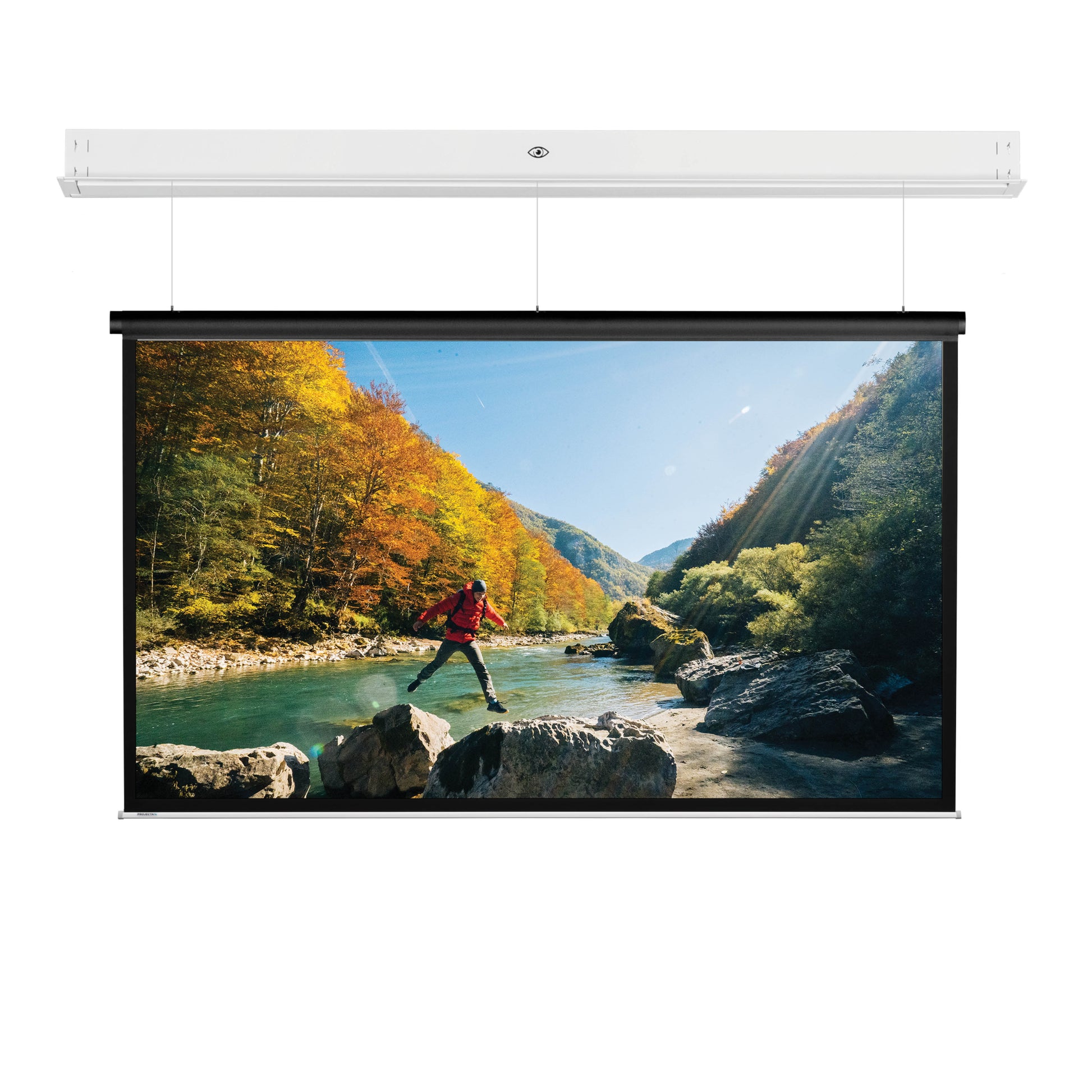Da-Lite DescenderPro SightLine – Elektrische Leinwand, 4:3, 250,4 × 187,8 cm (123,2"), Mattweiss